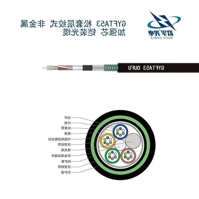 安徽GYFTA53光缆