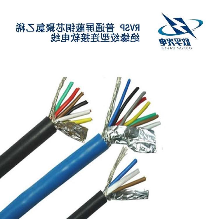 安庆市RVSP电缆